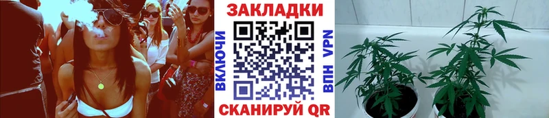 Как найти наркотики Пушкино A PVP МЕФ