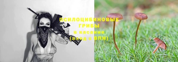 соль ск Зеленодольск