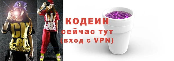 соль ск Зеленодольск