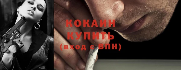 соль ск Зеленодольск