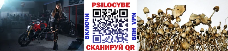 где продают Пушкино Псилоцибиновые грибы MAGIC MUSHROOMS