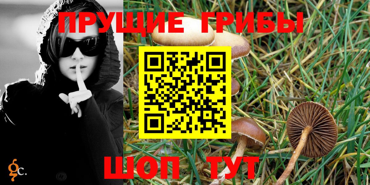Пушкино  Галлюциногенные грибы Cubensis  Галлюциногенные грибы GOLDEN TEACHER  Вход с VPN 
