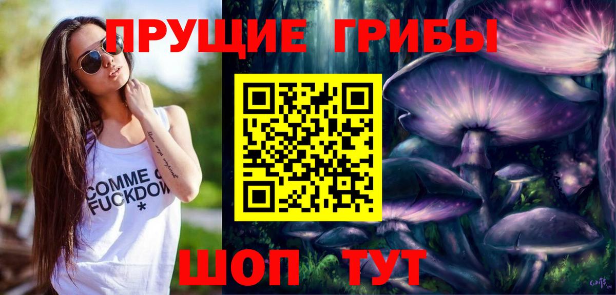 Псилоцибиновые грибы мицелий Пушкино